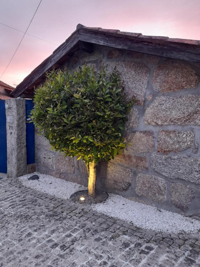 Villa Casas Do Arrabalde Amarante Exterior foto