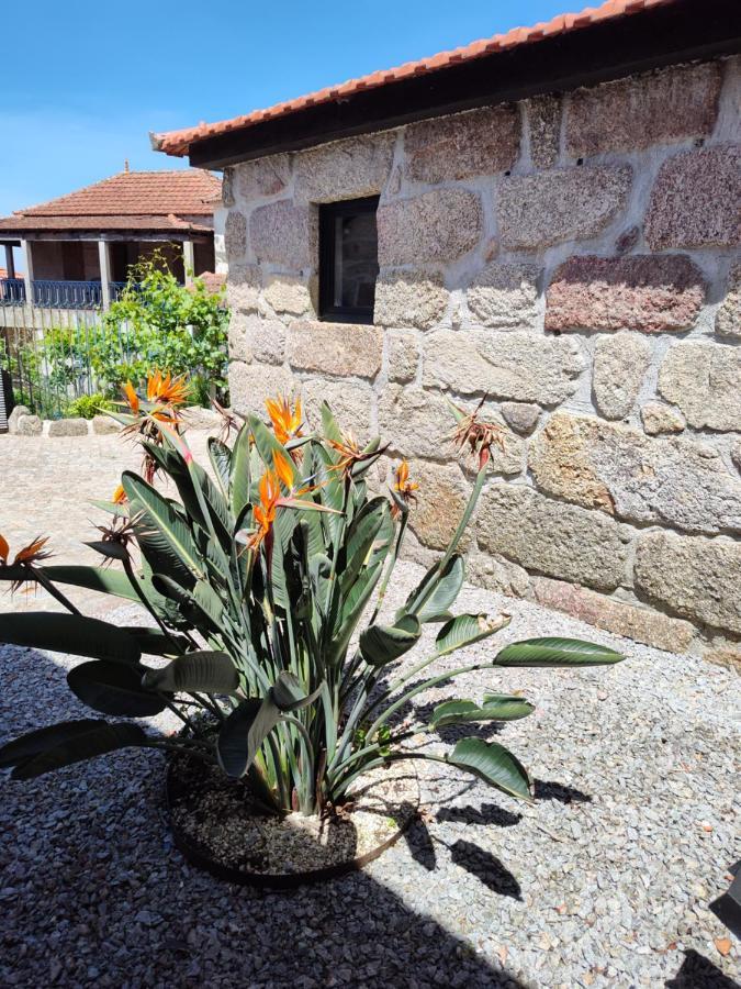 Villa Casas Do Arrabalde Amarante Exterior foto